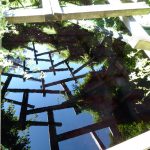 jardin Chaumont sur Loire 2016